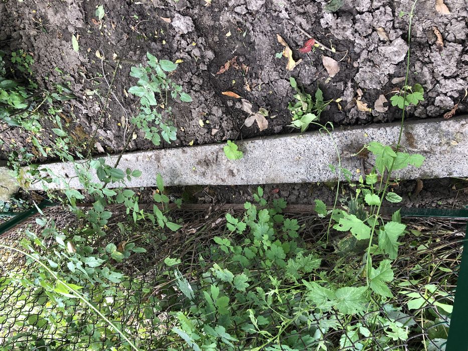 Свая железобетонная 2.5м 15-15см