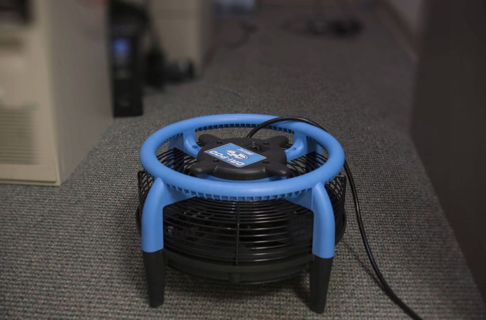 Wynajem odkurzacz piorący Karcher gratis opryskiwacz/ opcja suszenie