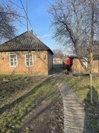 Продаж будинку в селищі Пантаївка, Кіровоградської області