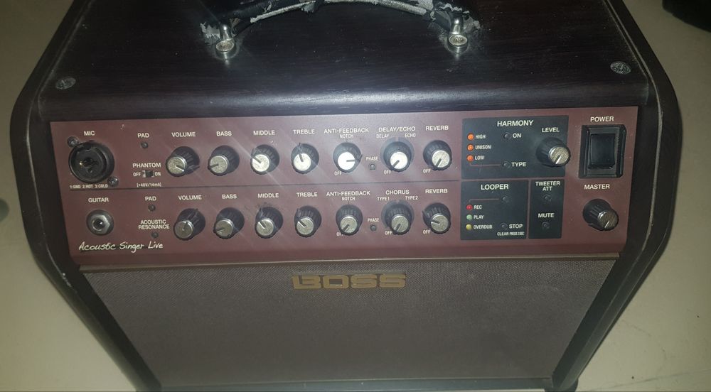 Boss acoustic singer live