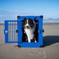 Бокс-клетка для перевозки и содержания собак
