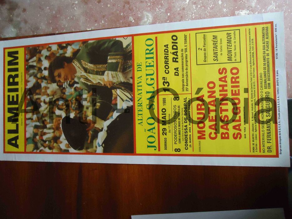 Toiros - Cartazes de Montra 1