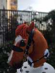 Hobby horse rudy