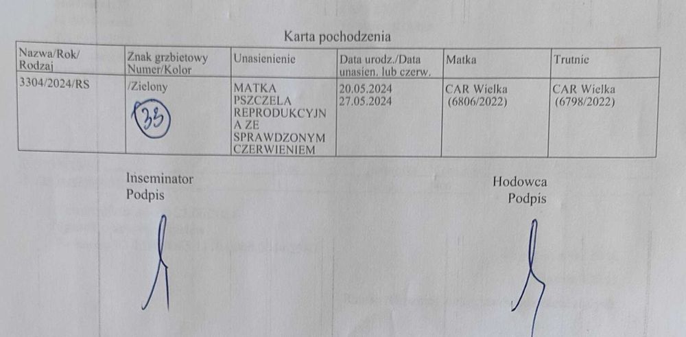 Matki pszczele , unasienione ze sprawdzonym czerwieniem