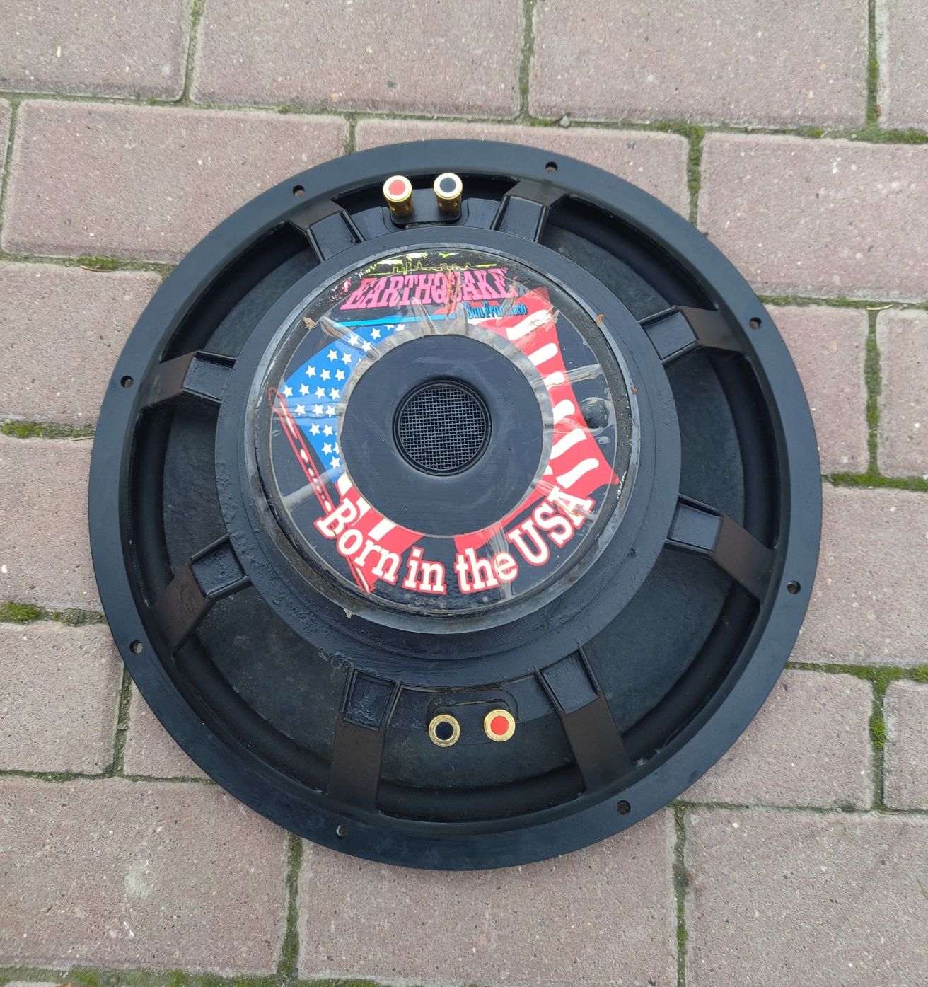 Samochodowy Głośnik 15" (38cm) Earthquake ls-15 2x300w rms