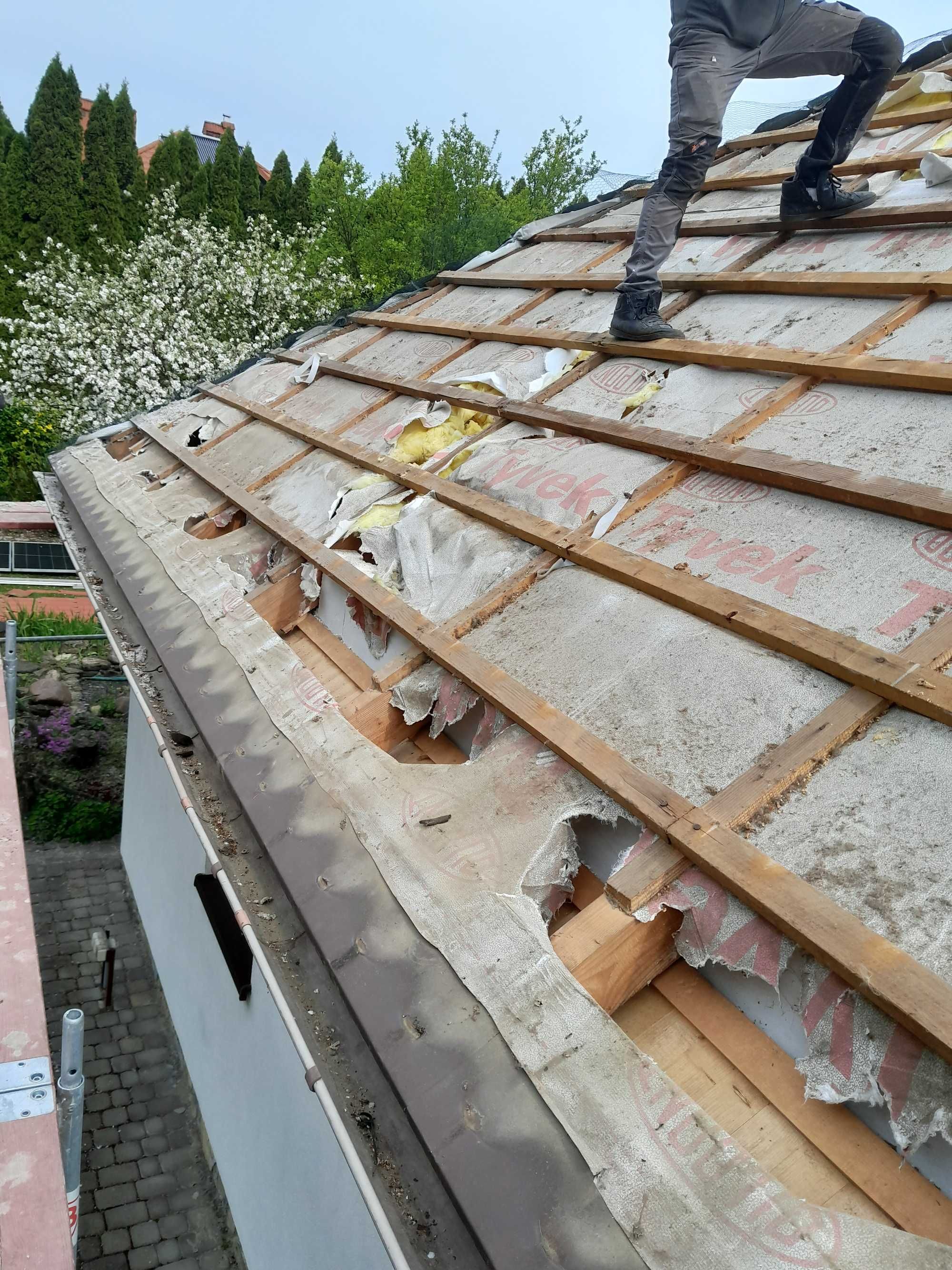 Napraw po penetracji kuny oraz docieplenie dachów stropo dachów