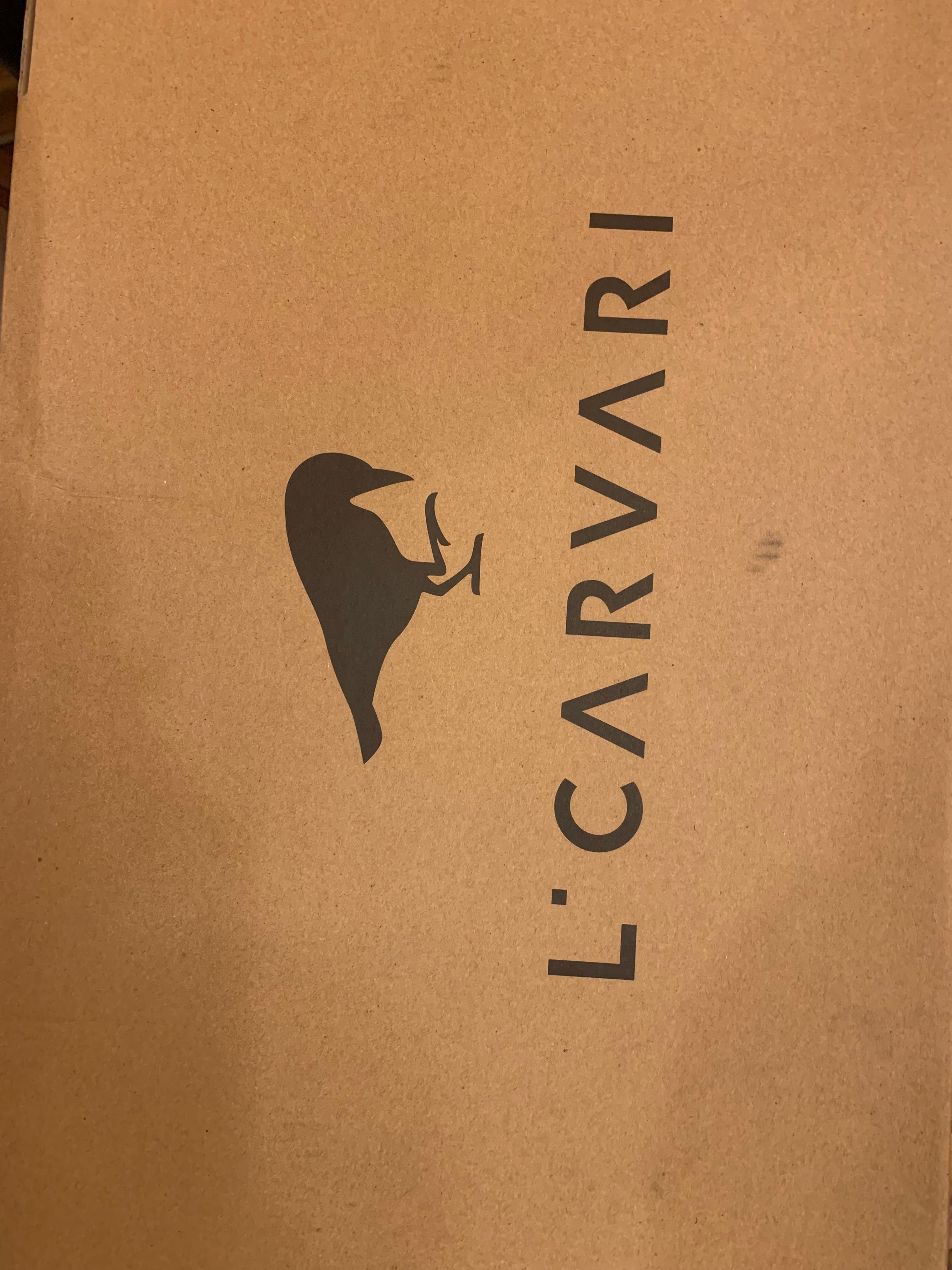 Чоботи L. Carvari шкіряні