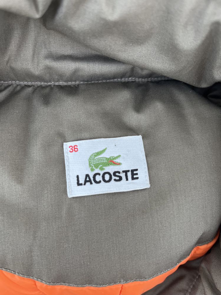 Colete da lacoste