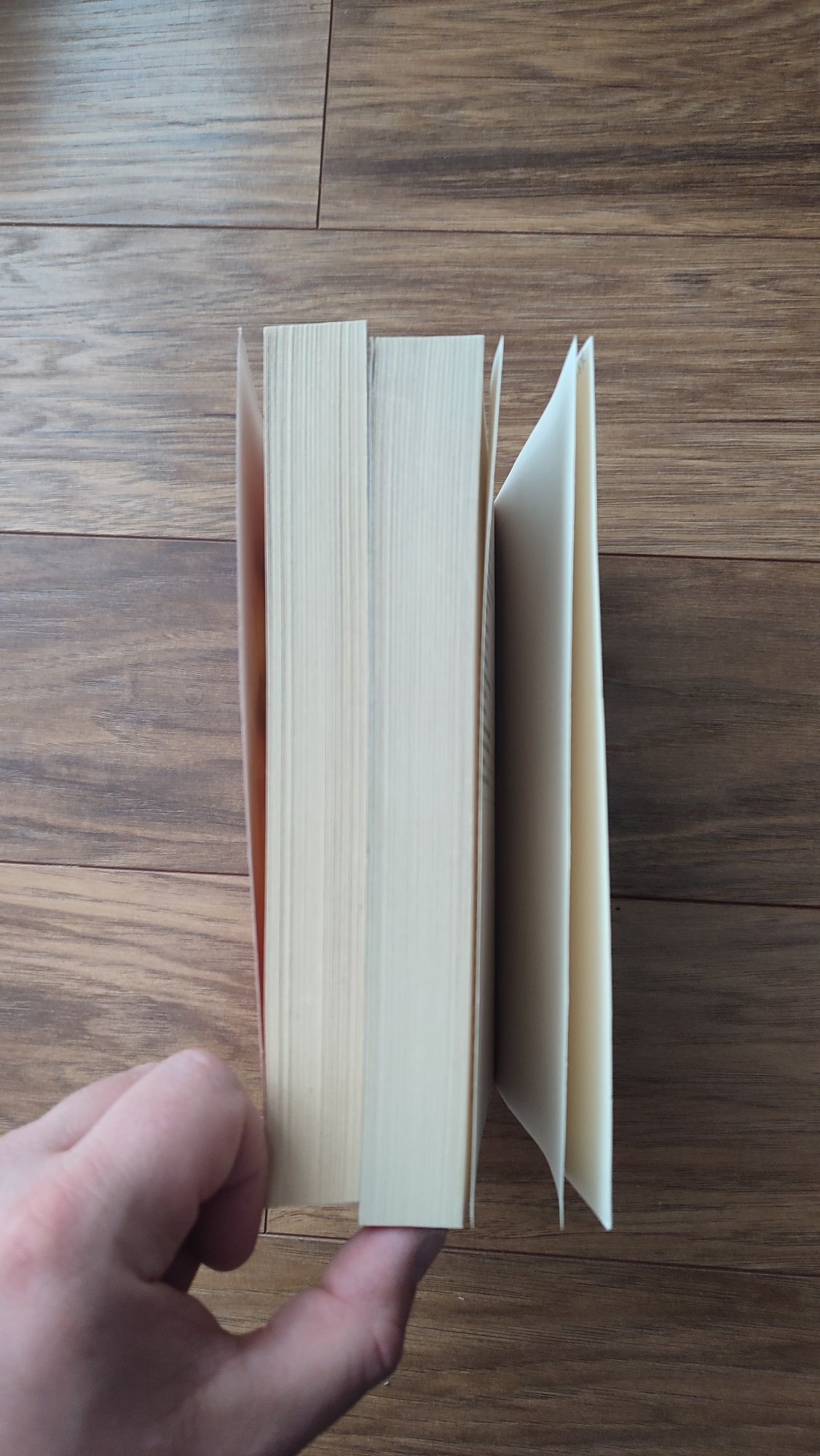 Terry Pratchett - Nauka Świata Dysku
