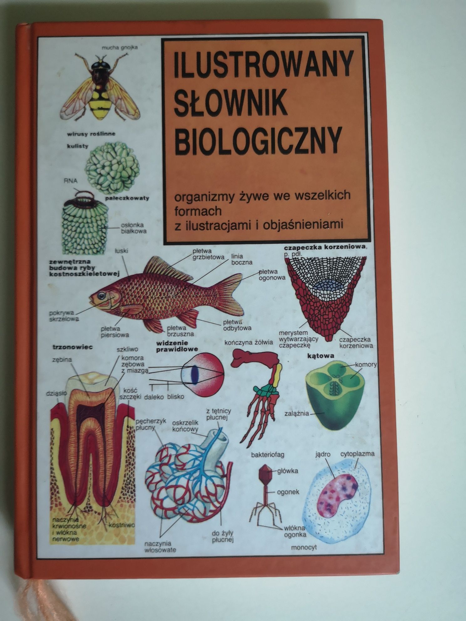 Słownik biologiczny