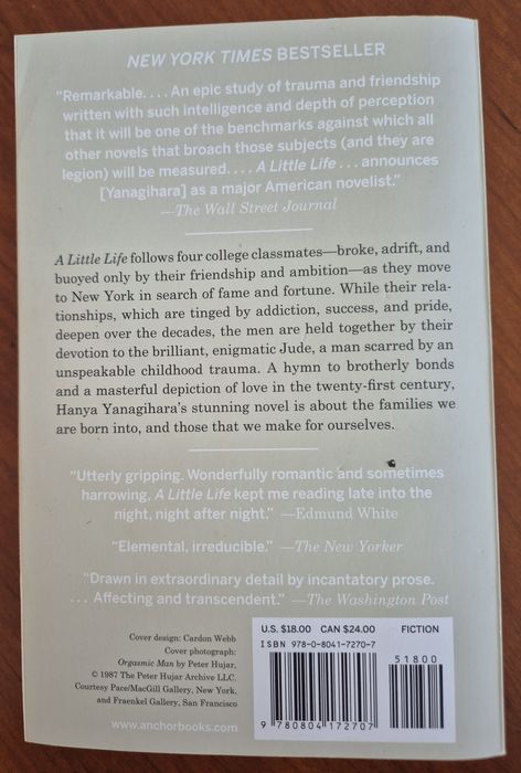 Livro "A Little Life"