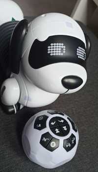 Dogbot pies robot interaktywny pilot