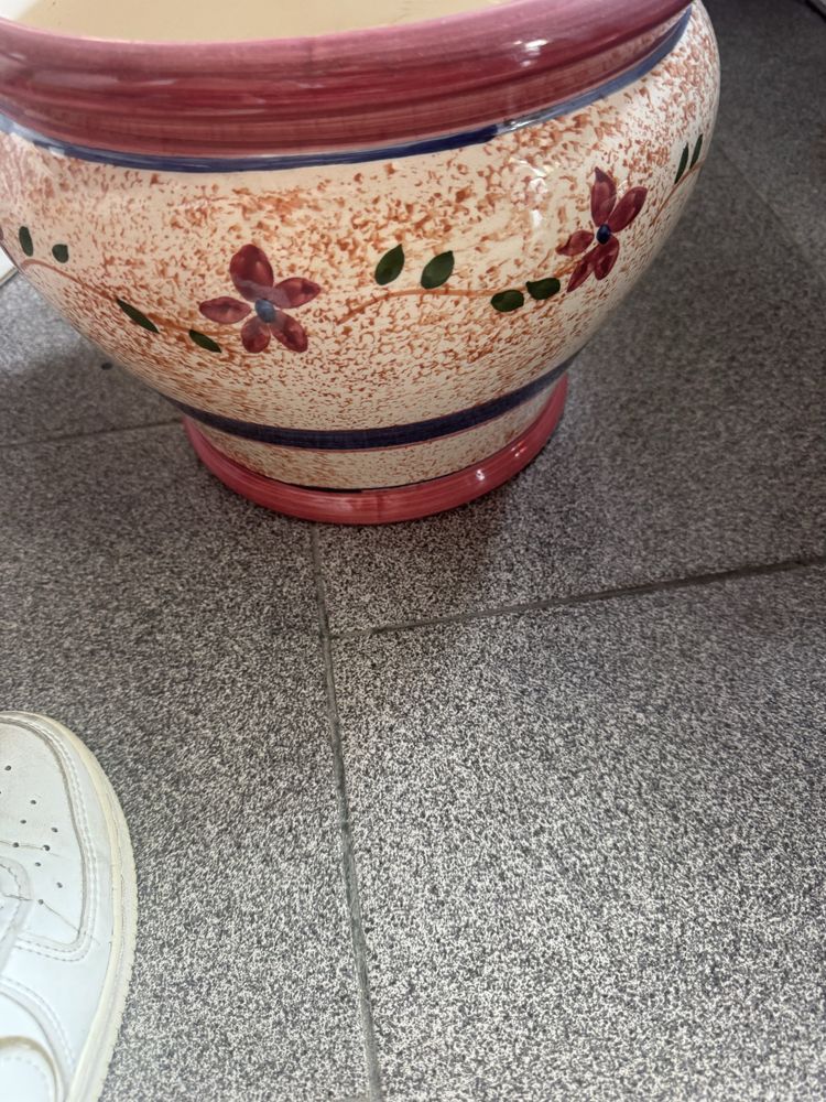 Vasos de planta