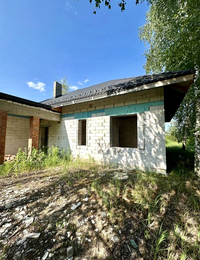 Продам будинок в Дмитрівці