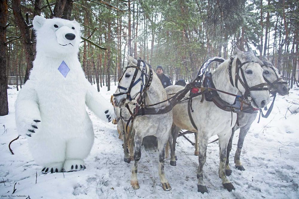 Білий Ведмідь надувний, костюм від виробника | Белый медведь
