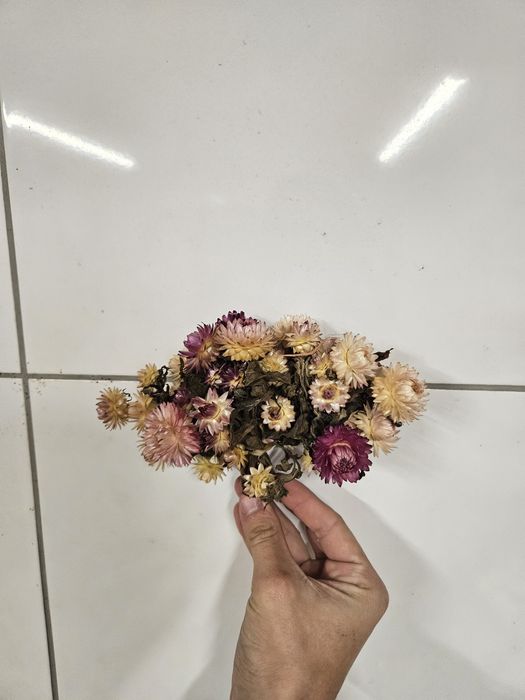 Susz kolorowy do wianków