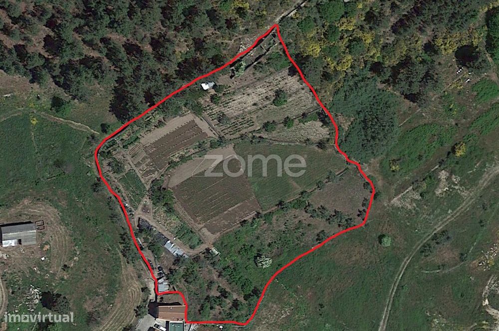 Quinta na Portelinha - Moimenta Da Beira