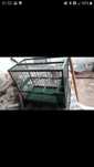 Gaiola transporte