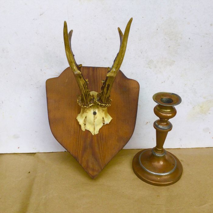 Рога косули на медальоне