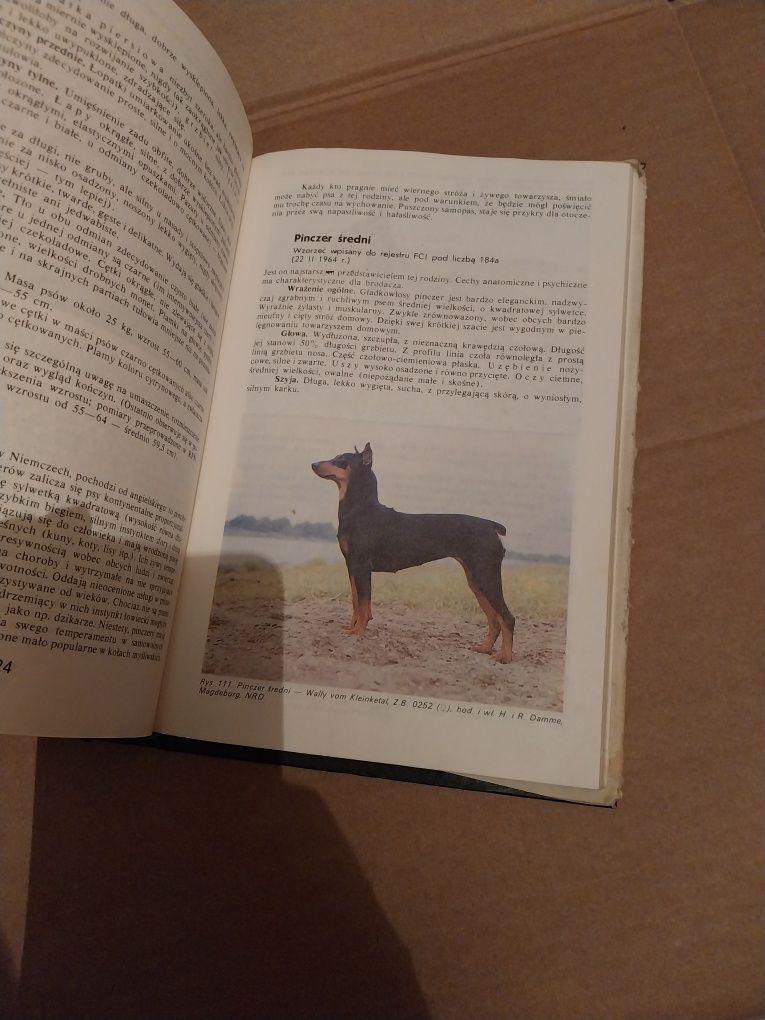 Psy rasy i wychowanie książka 1989rok