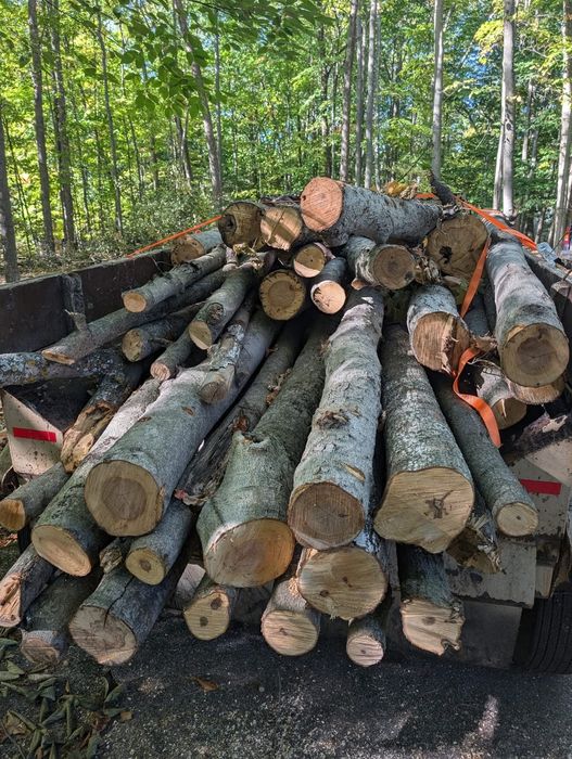 Дрова букові грабові  метрові дрова колоті дрова кубанами гуртом дрова