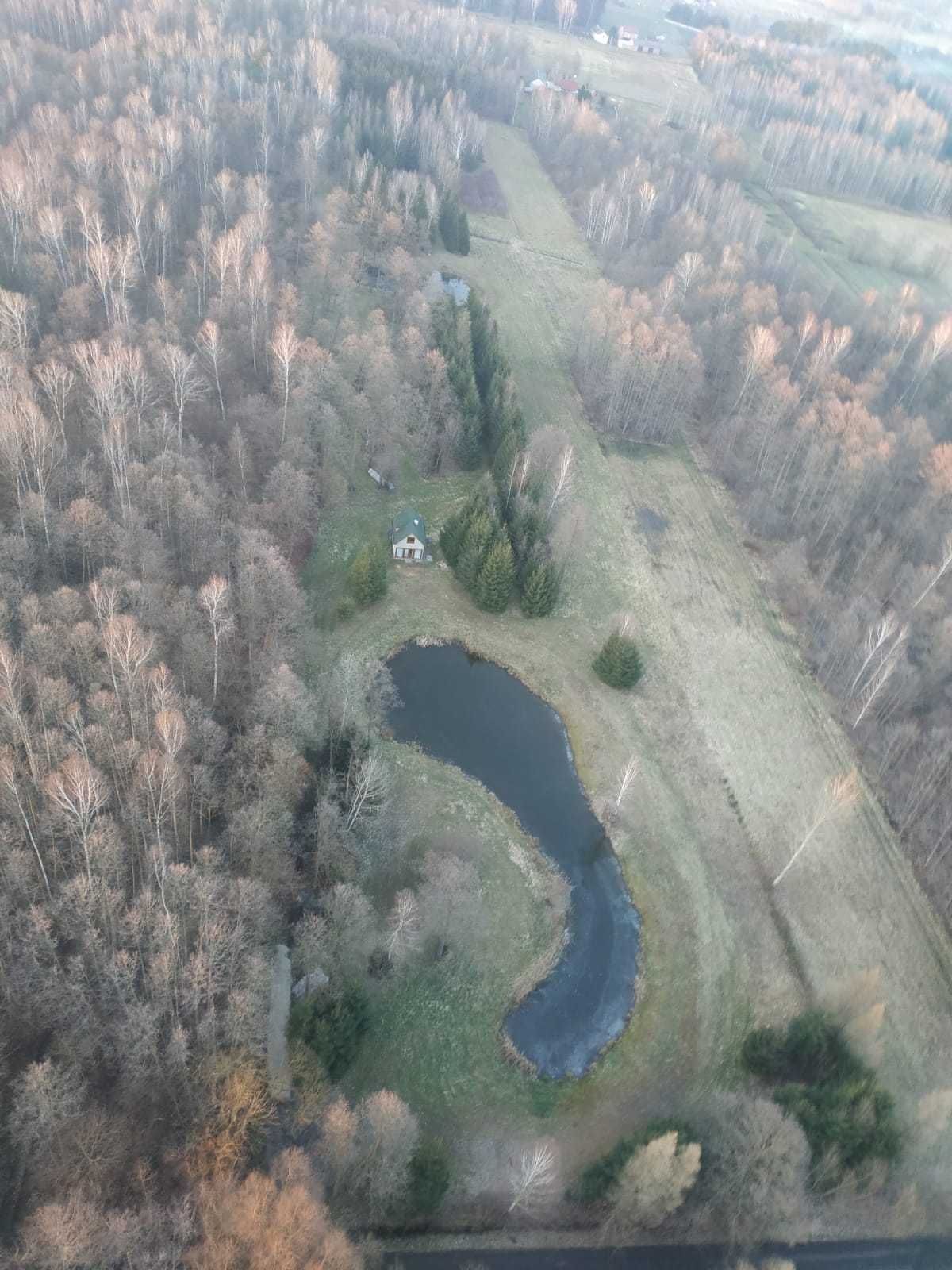 Domek do wynajęcia w strefie ciszy przy stawie