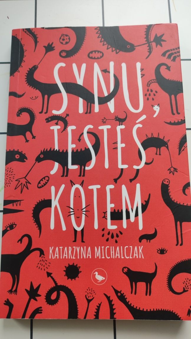 Synu jesteś kotem Katarzyna Michalczak