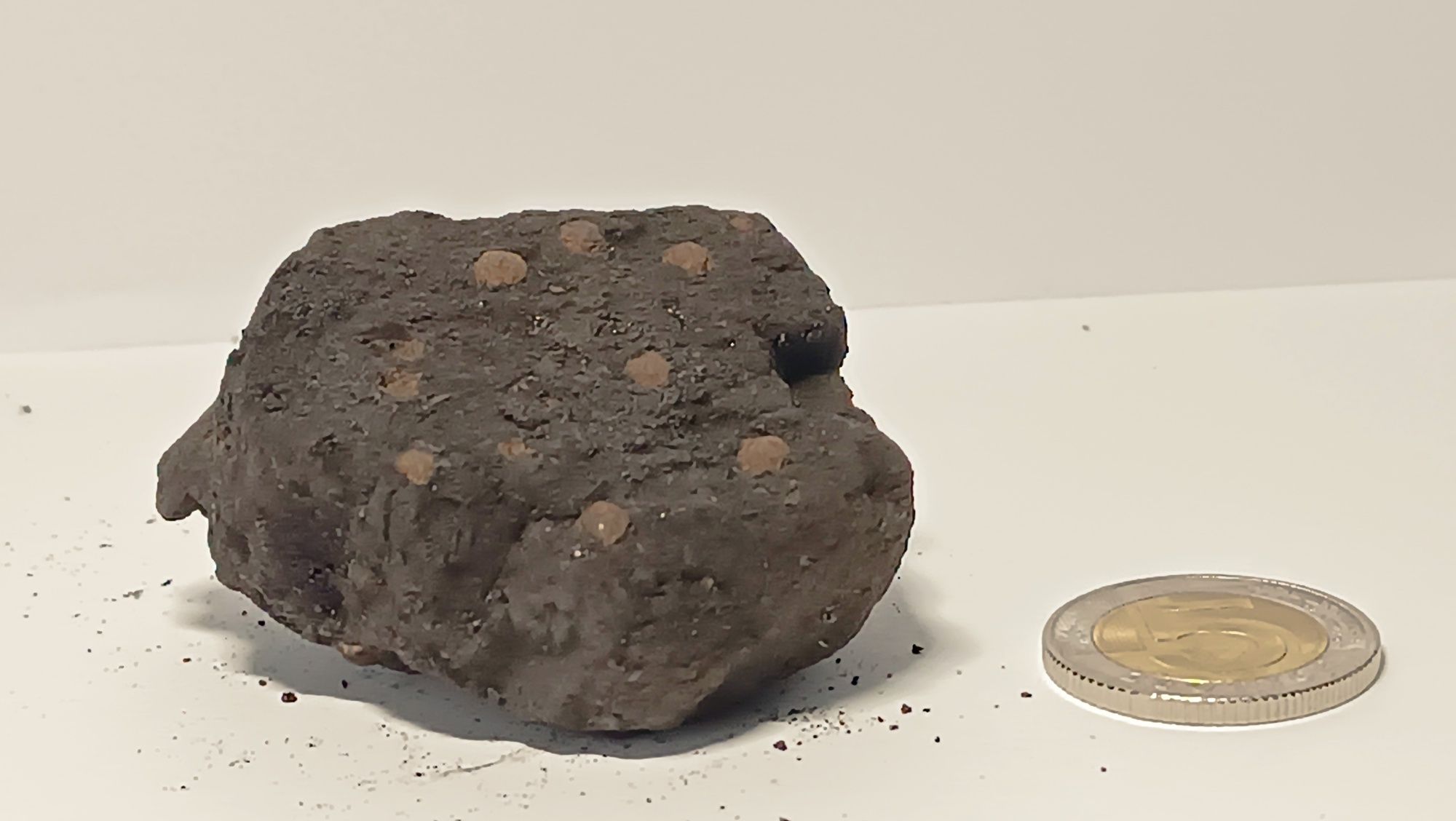 Fragment węgla z konkrecjami