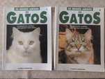 Volumes 1 e 2 da colecao Os Nossos Amigos Gatos – Planeta DeAgostini