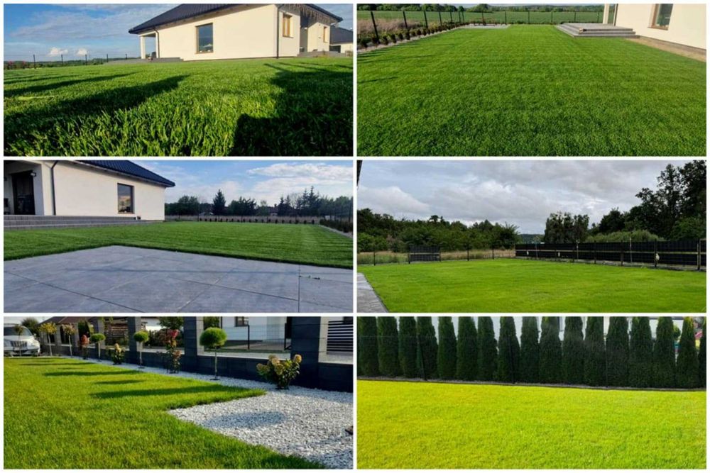 Systemy nawadniania usługa