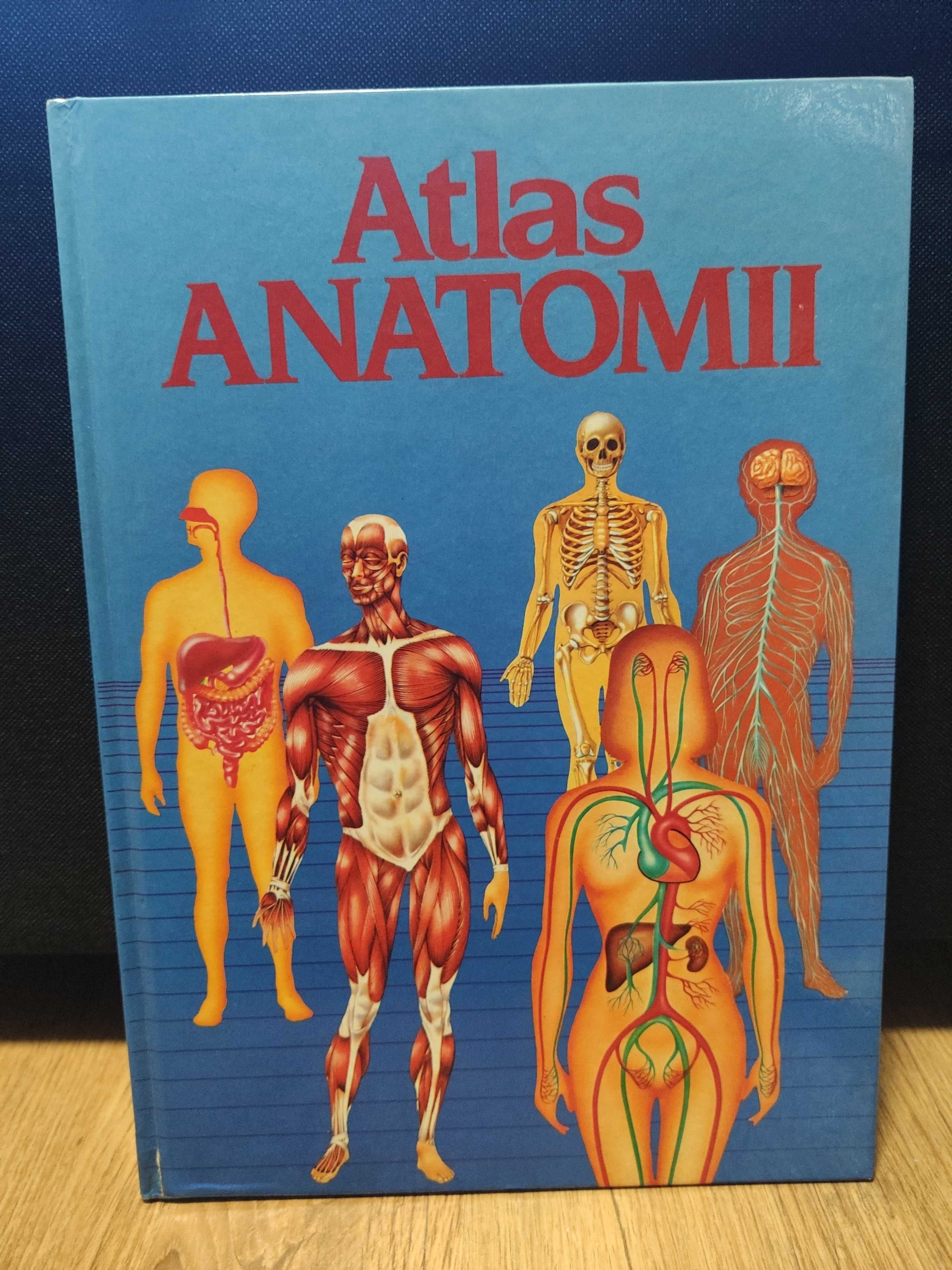 Dwa atlasy anatomii