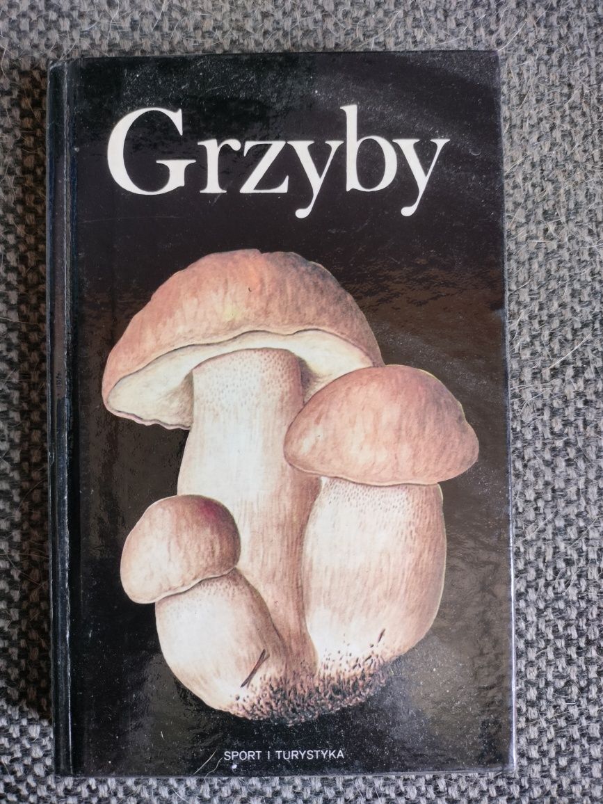 Grzyby-Aurel Dermek