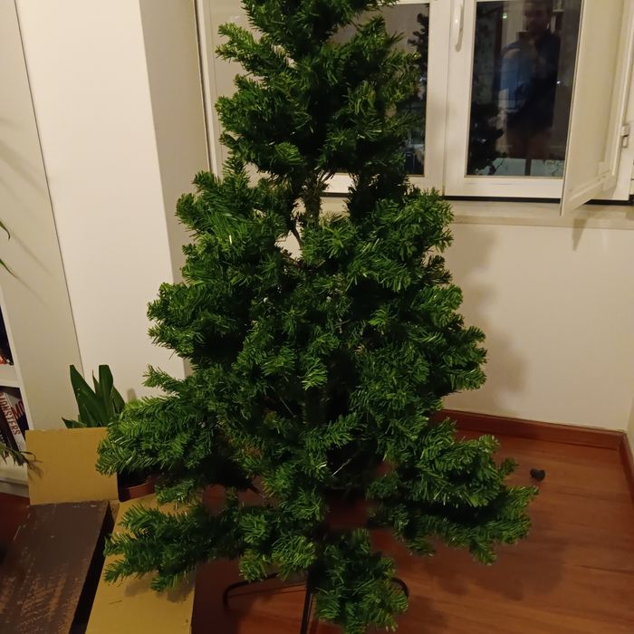 Arvore de Natal Area Store