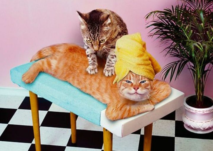 Масаж лікуваальний,релакс