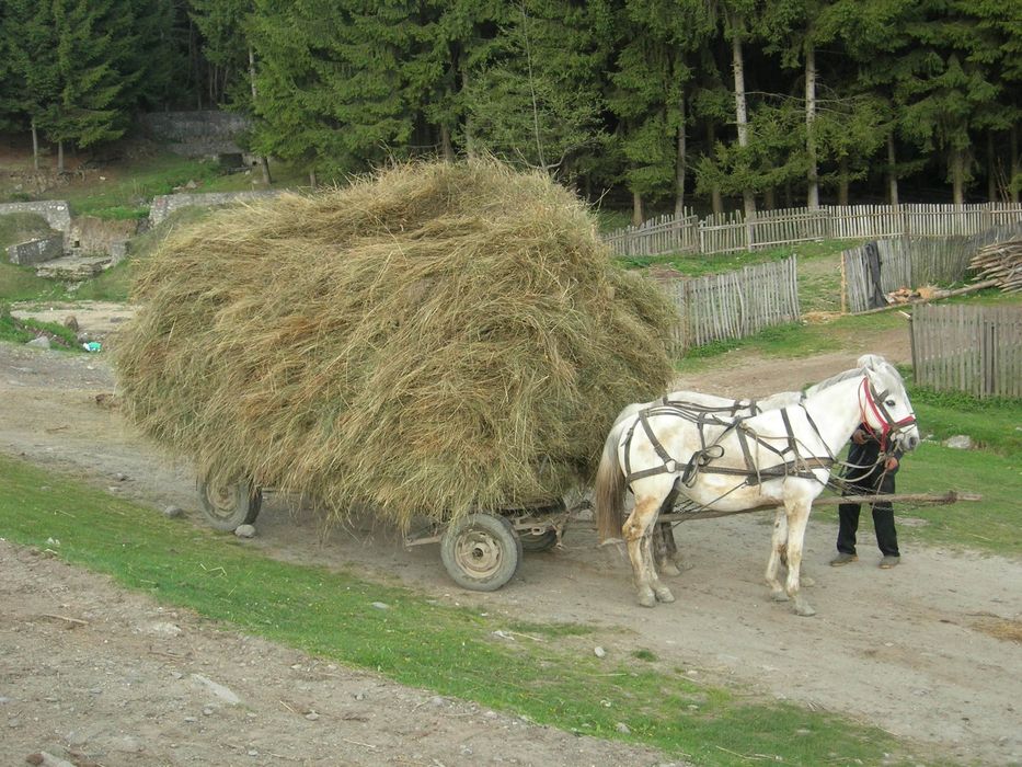 Sprzedam słomę 130 z prasy pasowej