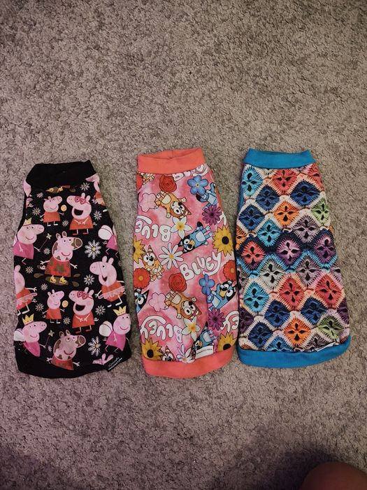 Ubranka dla kota sfinksa