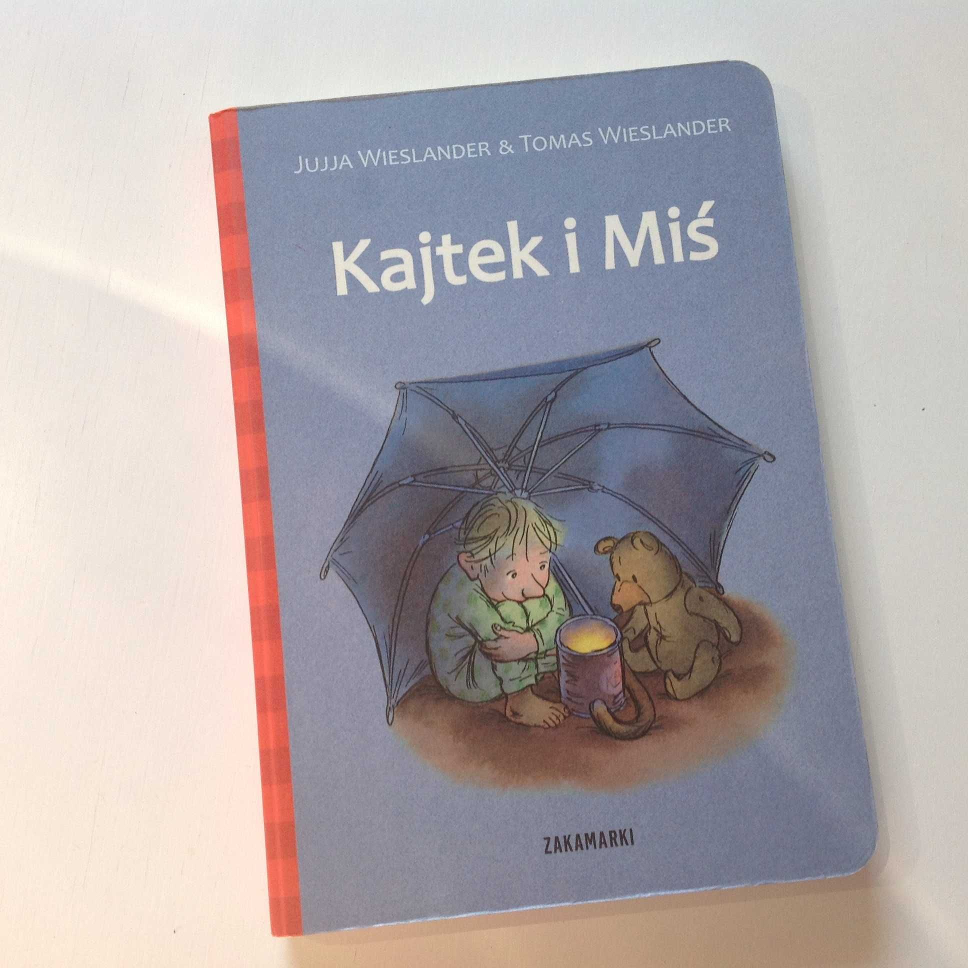 Kajtek i Miś książka