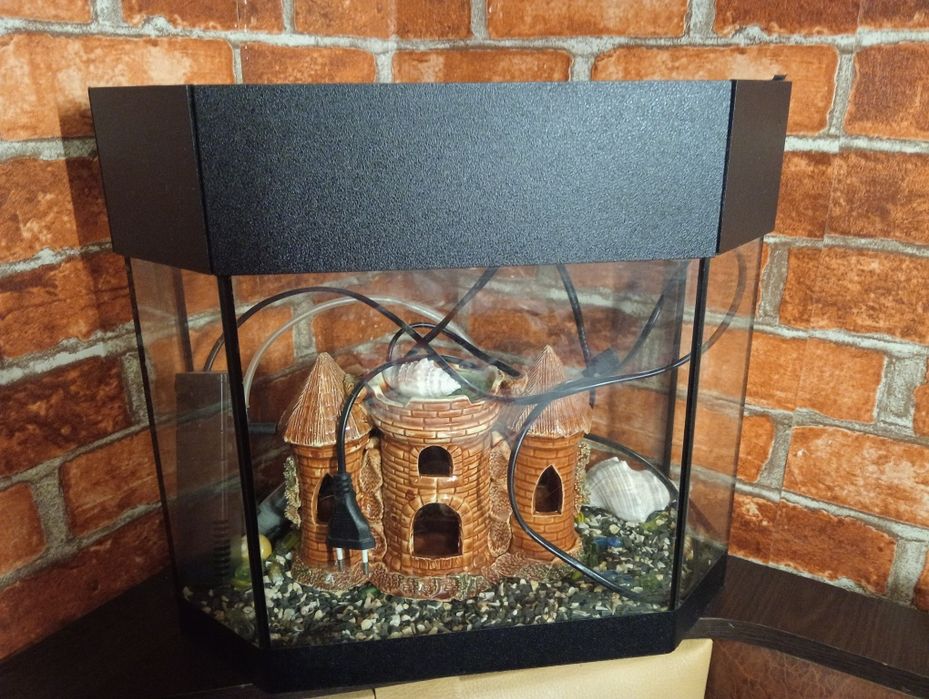 Акваріум з замком