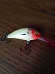 Woblery Salmo Hornet 6/S; 5/F; 4/SDR; KOLOR RHH