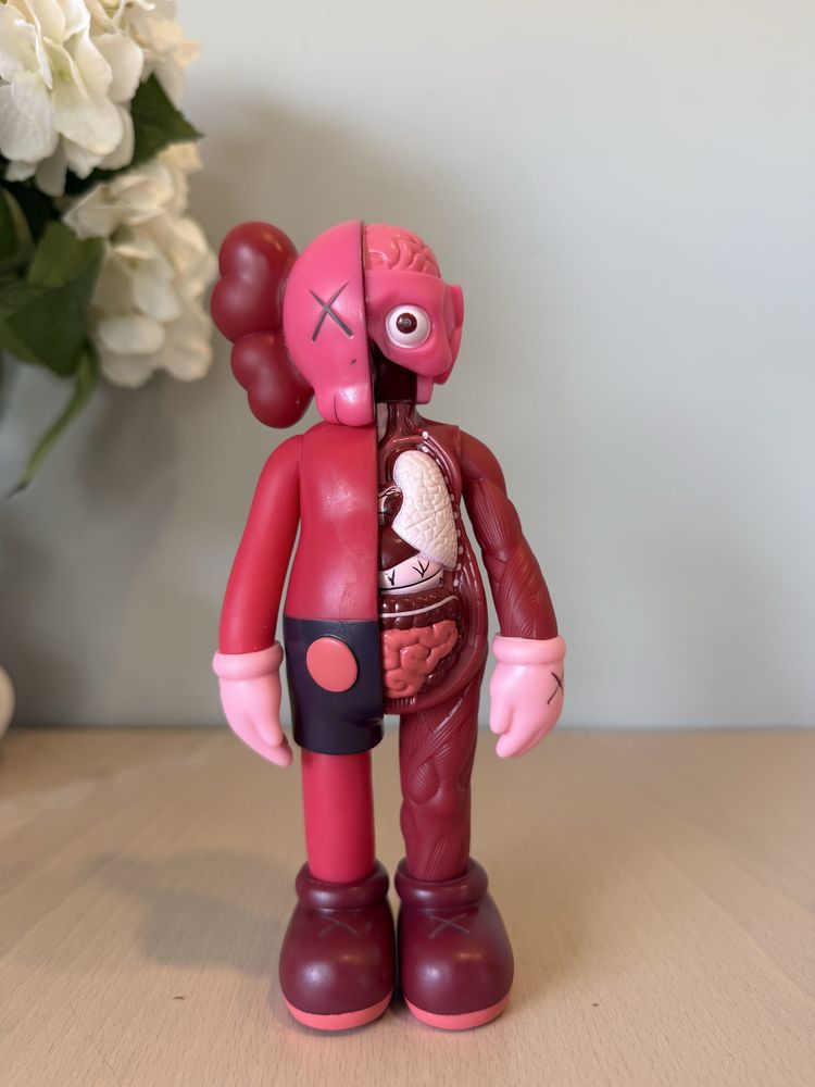 Kaws Anatomy Red