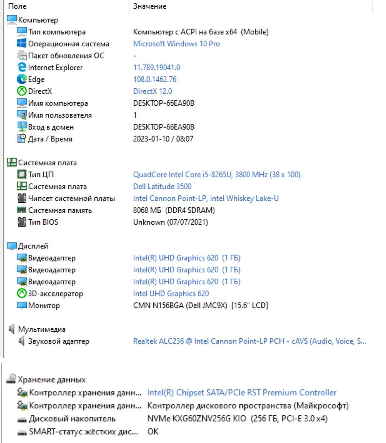 Dell Latitude 3500 •15.6" HD •Intel Core i5-8265U•8GB •256GB SSD
