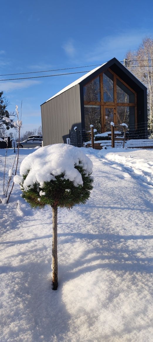 Nowoczesny domek nad jeziorem, JACUZZI w cenie