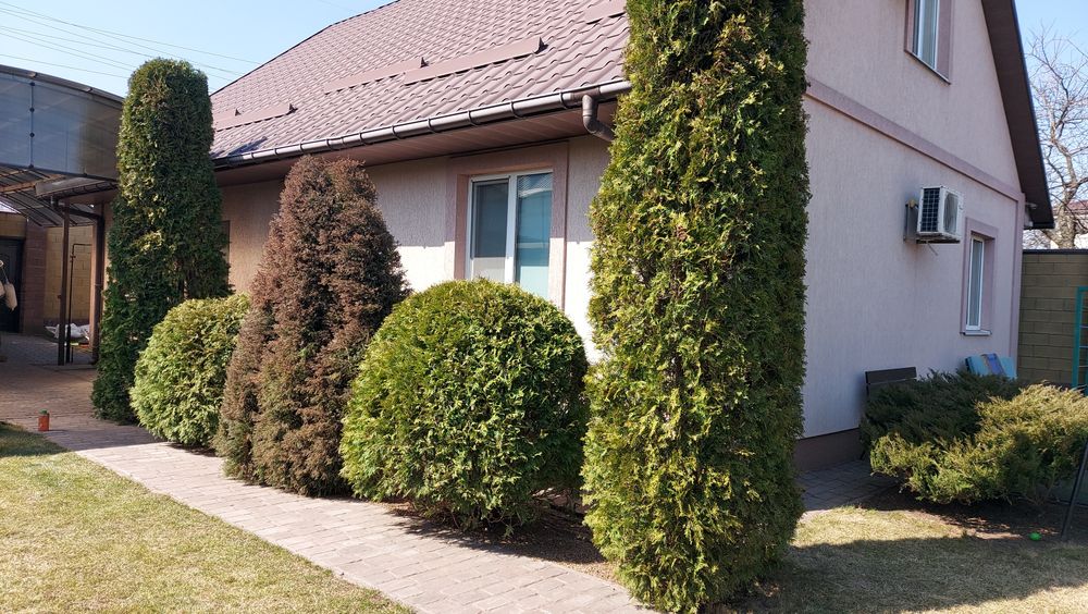 Обрезка сада, формирование деревьев, Обработка от вредителей