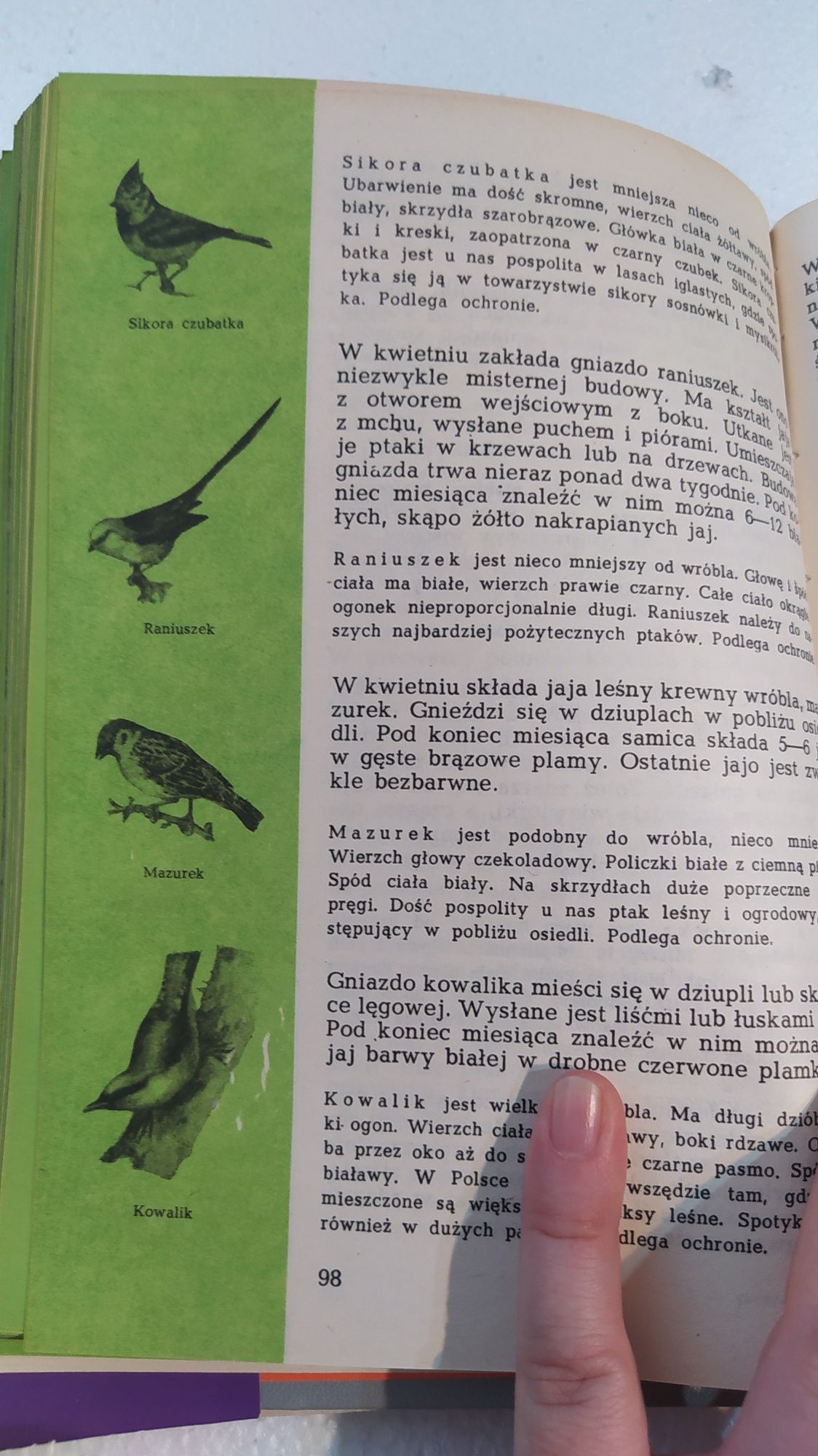 Kalendarz przyrody antykwariat Henryk Sander Zdzisława Wójcik 1983
