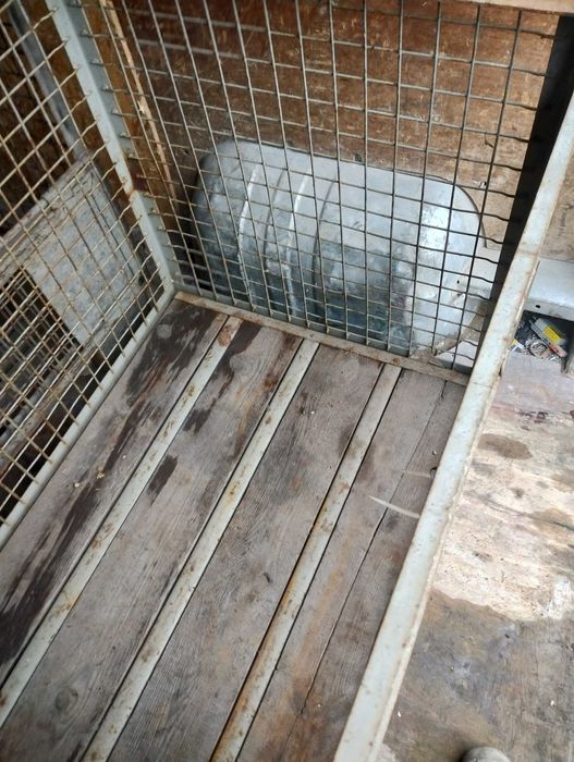 Kosz siatkowy metalowy