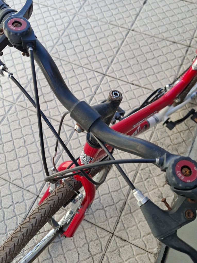 bicicleta JL-WENTI