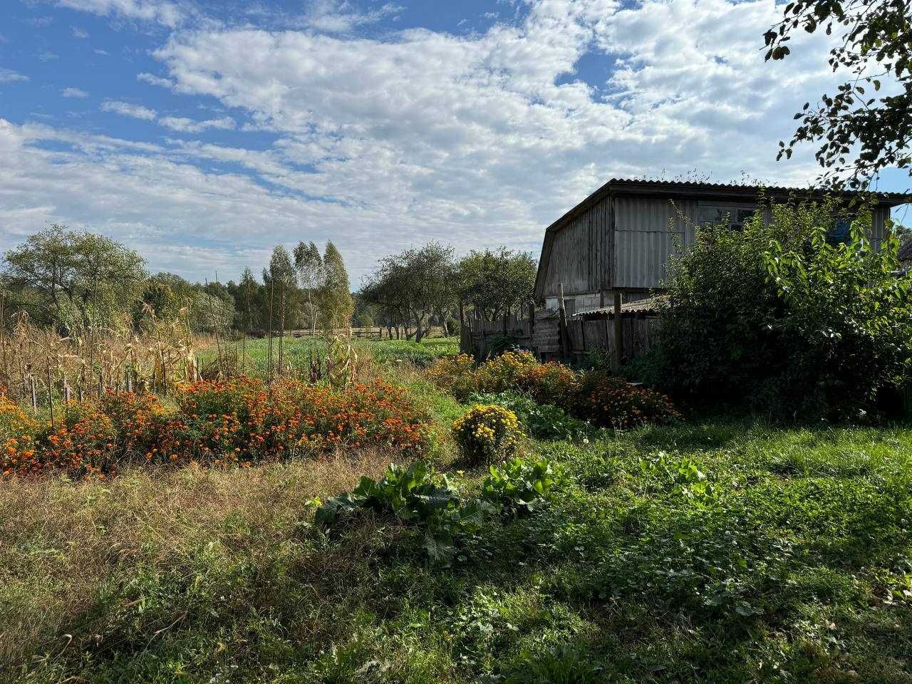 Будинок в селі Кошівка