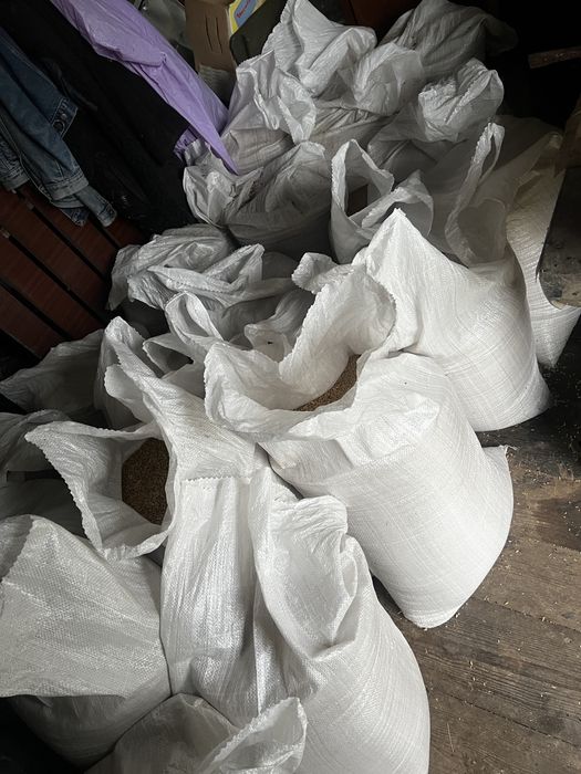 продам ячмінь зібраний цього року