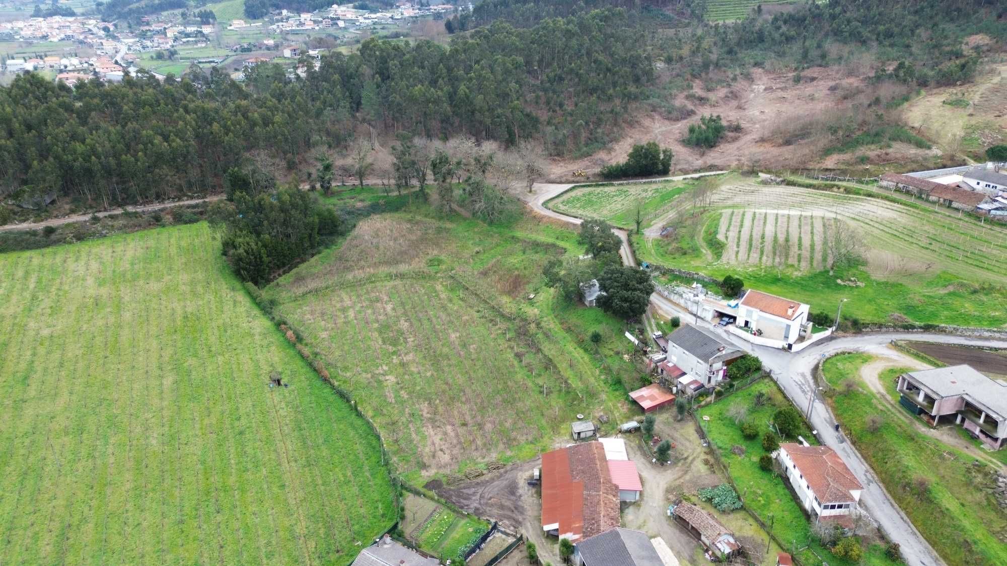 Terreno e Monte Santa Eufémia Prazins