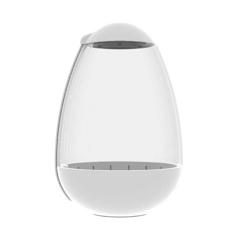 Terrário Moderno com Iluminação LED NOVO